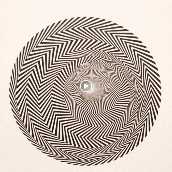 Meet your Posher, Isabella - Picture 1 of 1